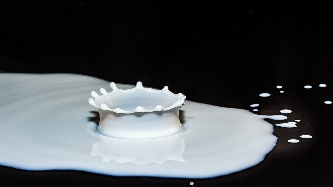 plant-based milk milk splashing on black background