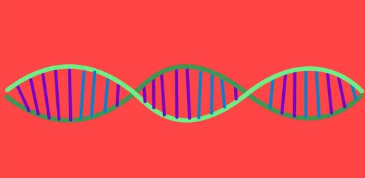 DNA CRISPR Cas12c genetics