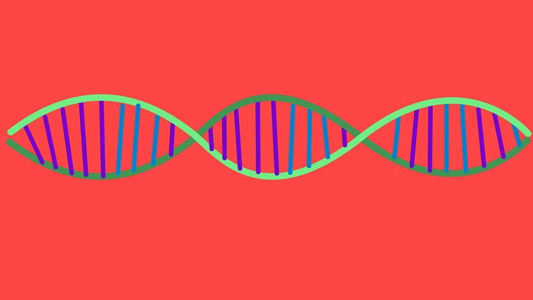 DNA CRISPR Cas12c genetics
