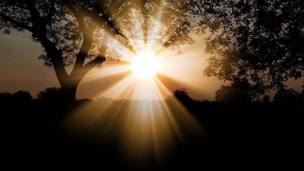 sunset shadows Ishiguro book Klara and the Sun review