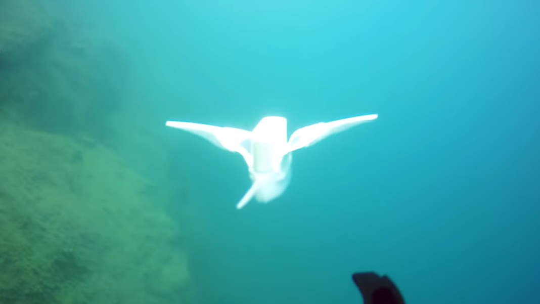 This Soft Robot Stingray Just Explored the Deepest Point in the Ocean This Soft Robot Stingray Just Explored the Deepest Point in the Ocean