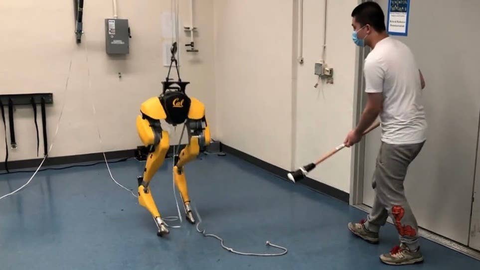 artificial intelligence cassie robot machine learning walking