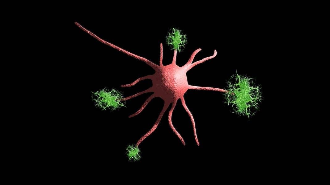 Alzheimer's study gene editing iPSCs CRISPR