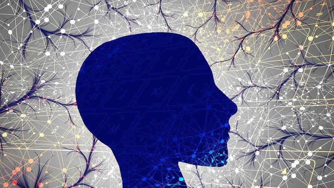 consciousness human brain neurons