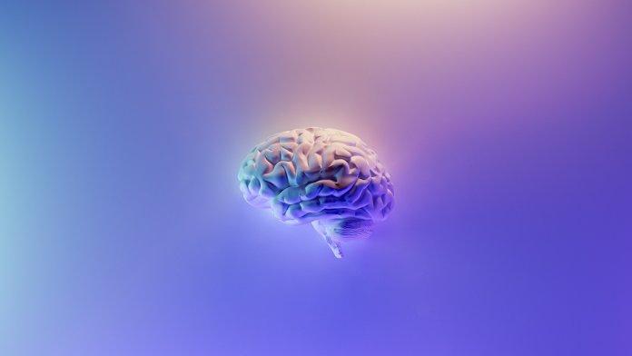 origin of consciousness brain neuroscience