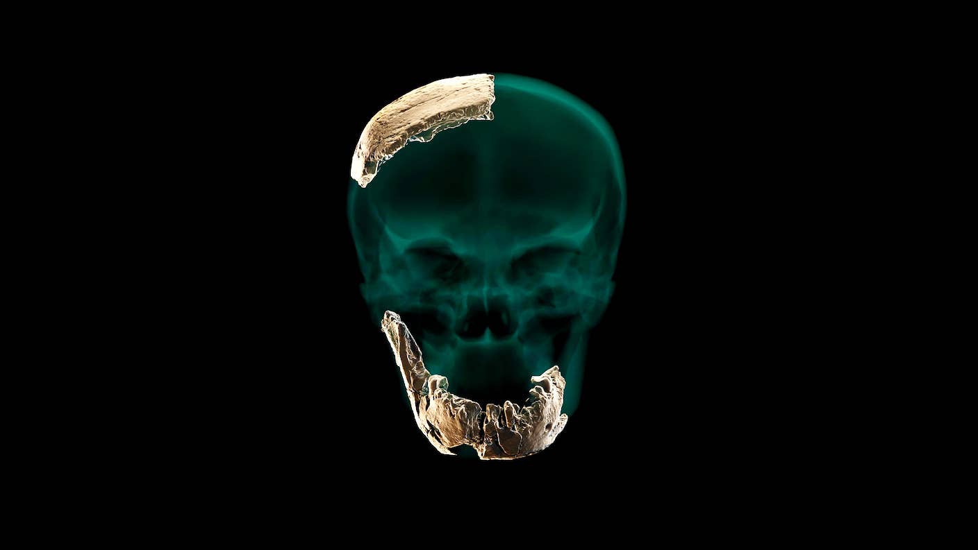 skull new human species discovered israel