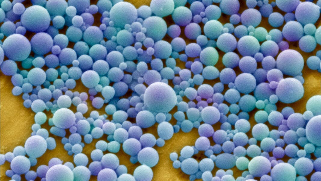 nanotechnology brain neuroscience nanoparticles drug delivery