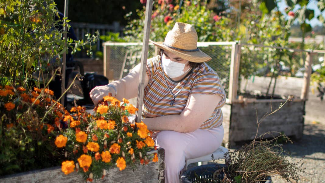 brain implant for depression