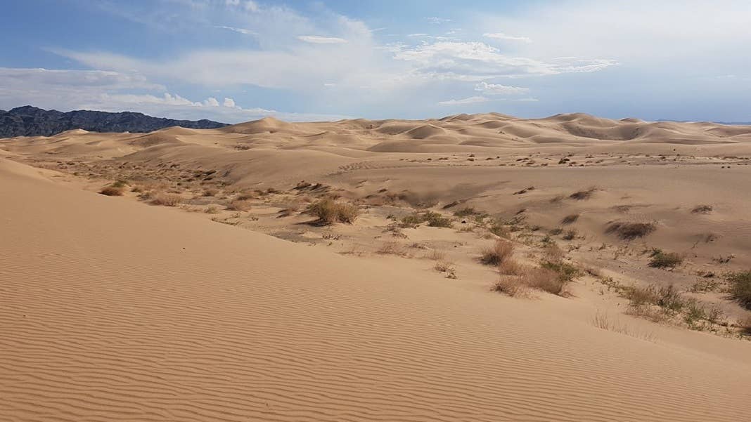 renewable energy wind solar gobi desert china