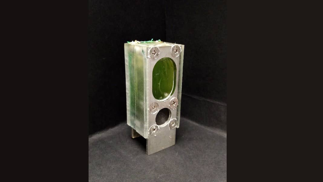 algae photosynthesis power computer iot