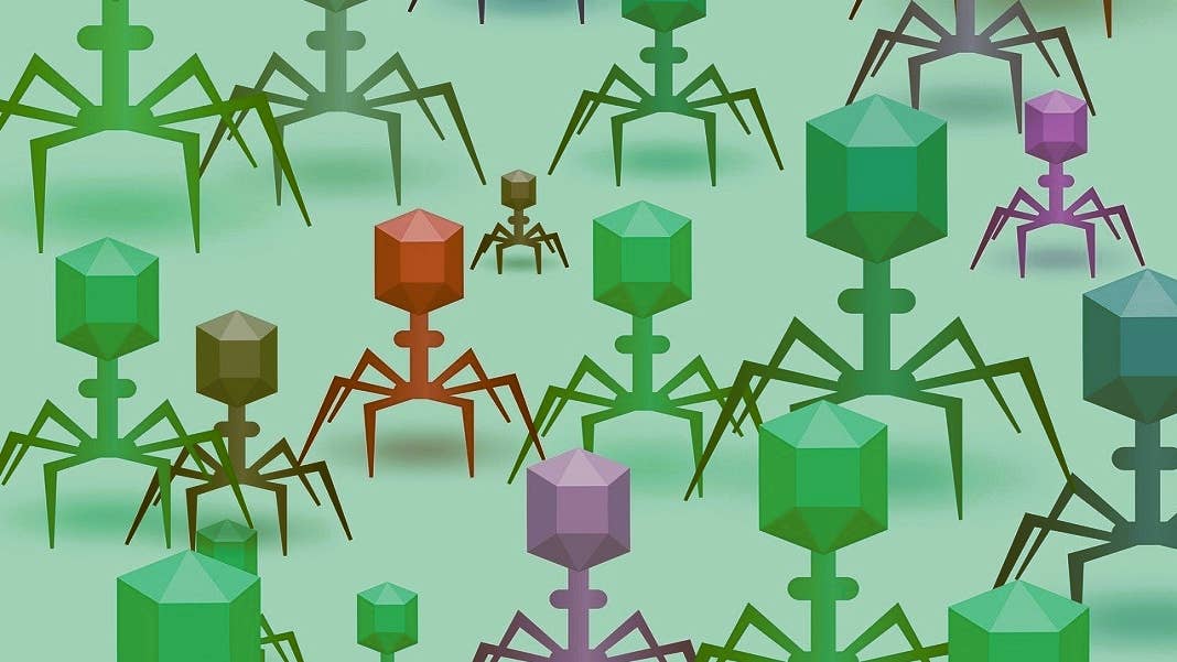 bacteriophages