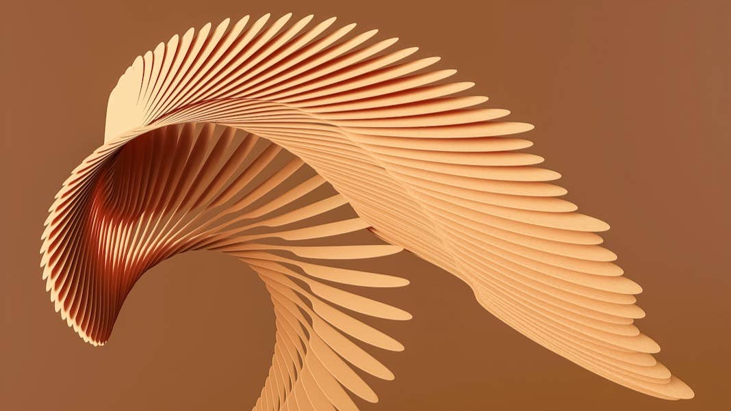 tech stories wings wood design