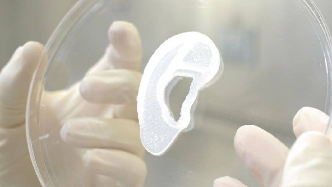 3d printed ear