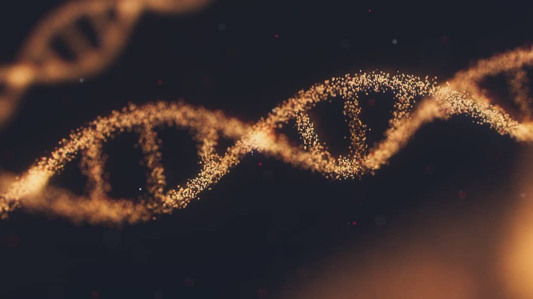 dna molecules yellow on black