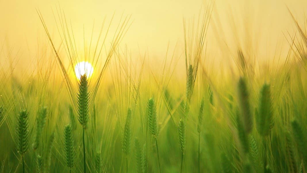 peak agricultural land field with sunset