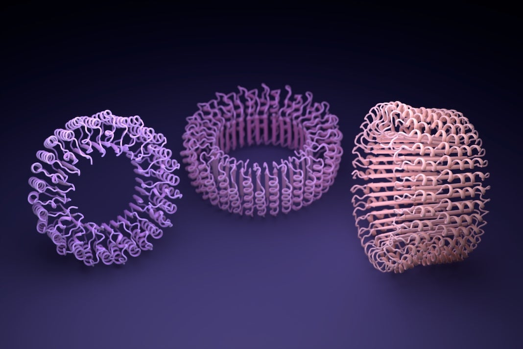 AI Can Design Totally New Proteins From Scratch—It’s Time to Talk ...