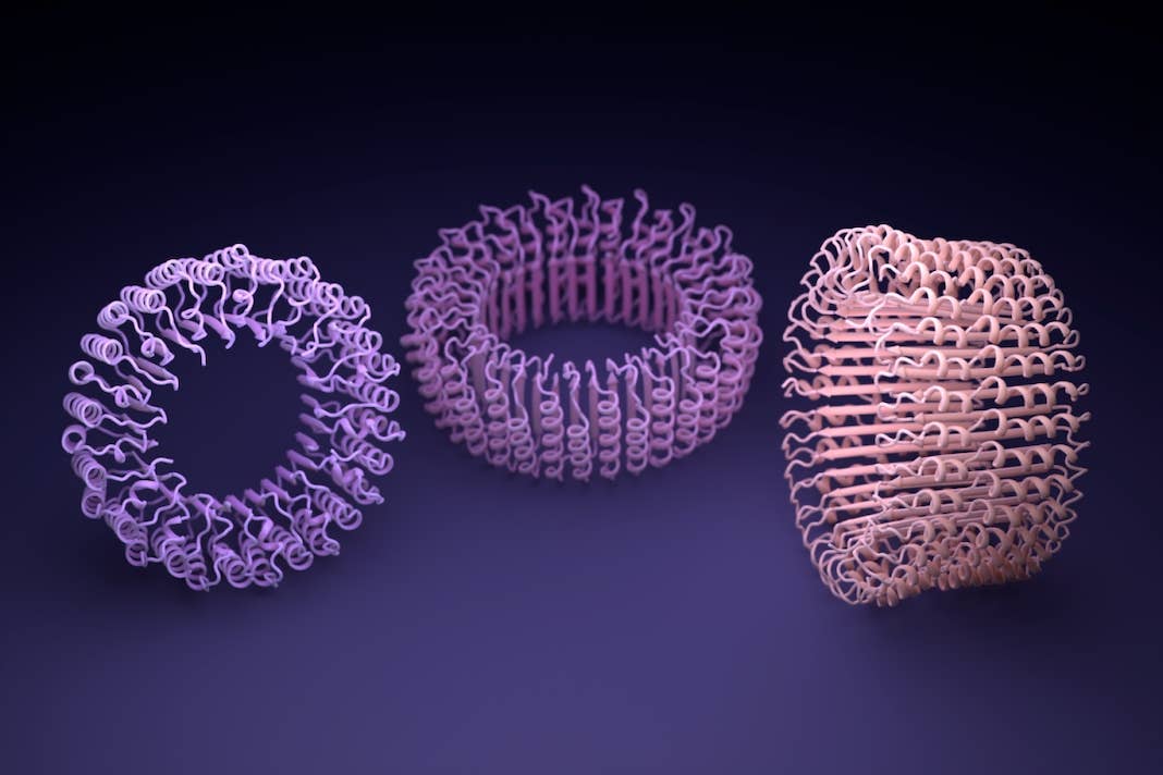 baker lab ai university of washington artificial intelligence protein design hallucinated rings
