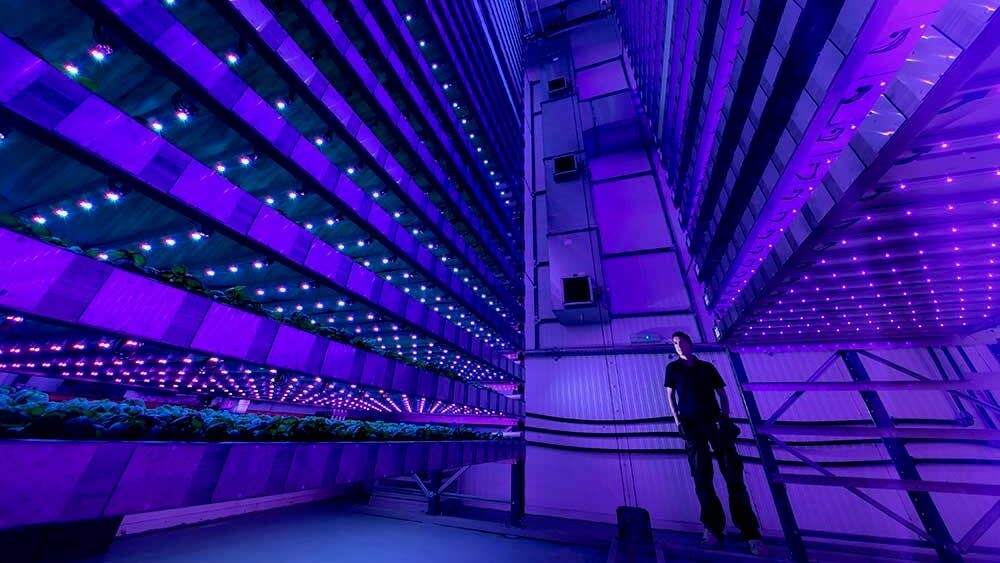 reforestation by led growth towers trees vertical farm intelligent growth solutions