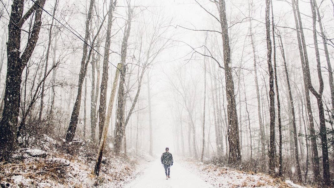 trees with snow cold person walking
