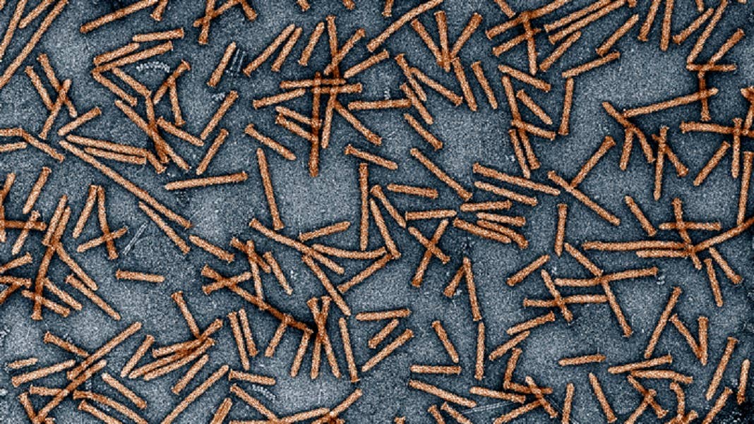 molecular syringe Feng Zhang AlphaFold