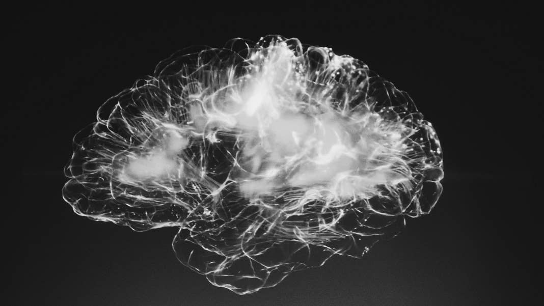 brain scans imaging fMRI EEG neural network