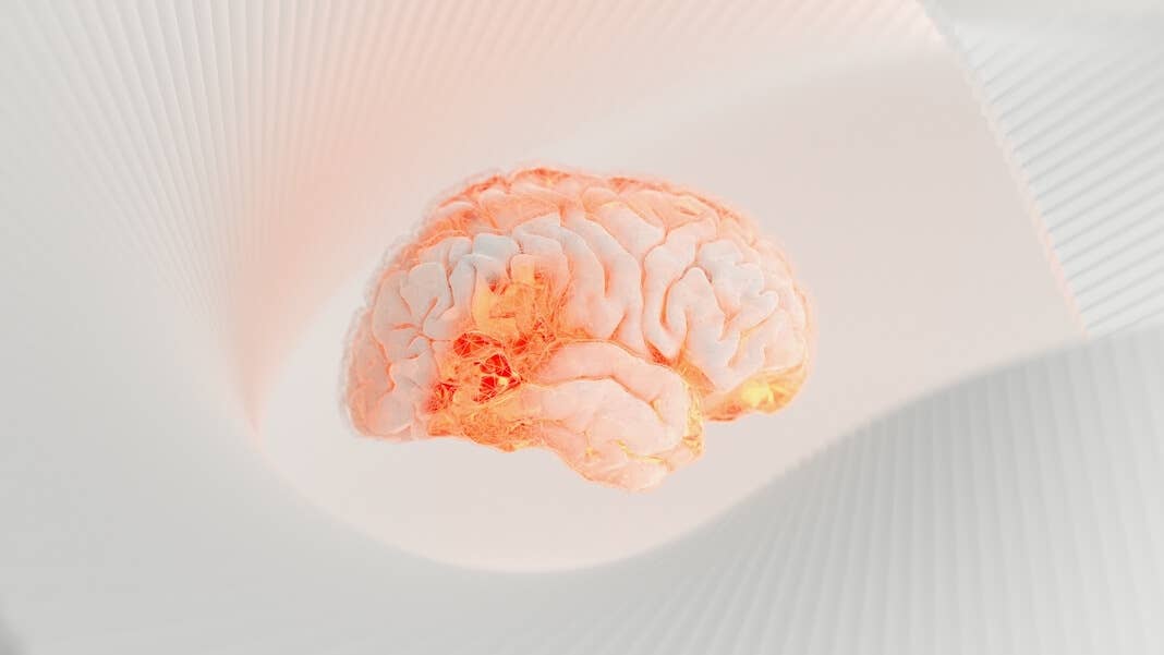 human brain project digital twin virtual brain digital brain image