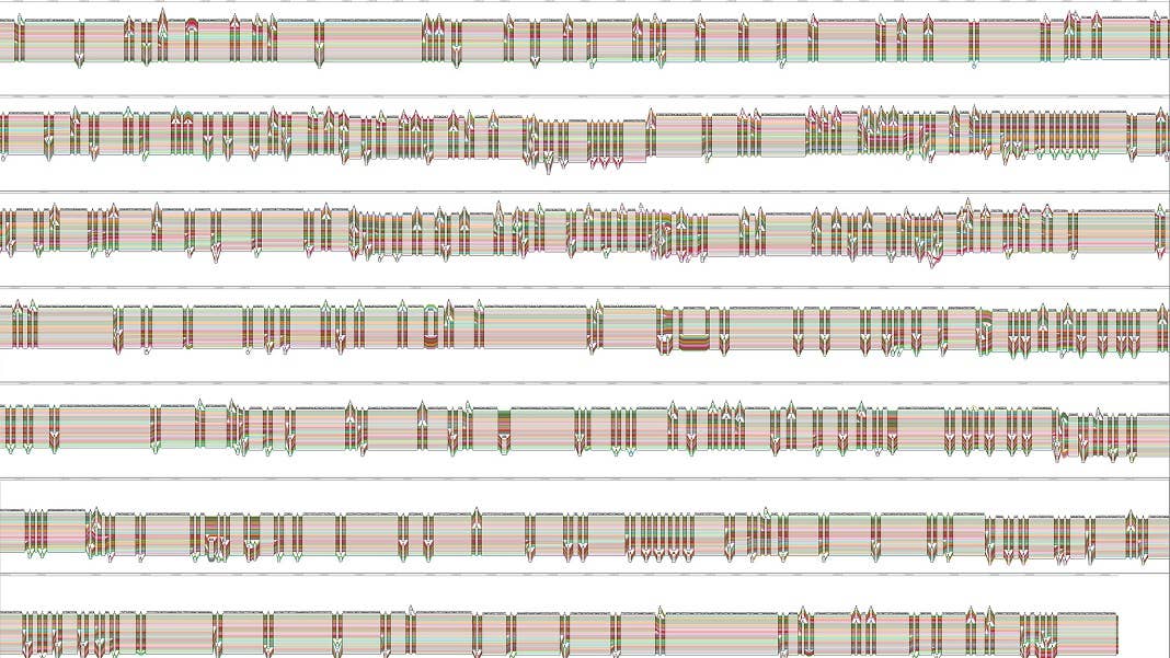pangenome HLA-A gene national human genome research institute