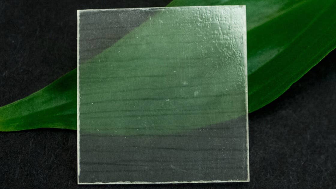 why scientists are making transparent wood