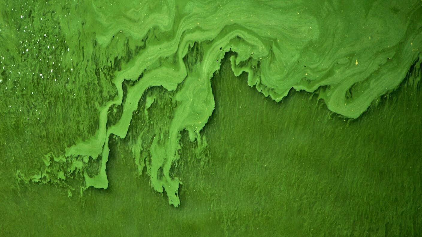 How much life has existed on Earth