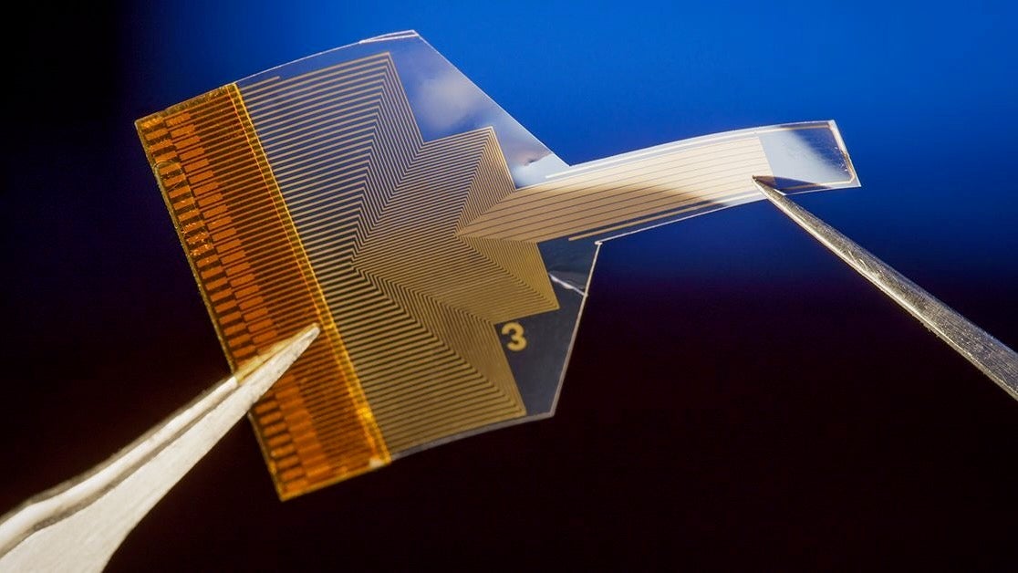 This Graphene-Based Brain Implant Can Peer Deep Into the Brain