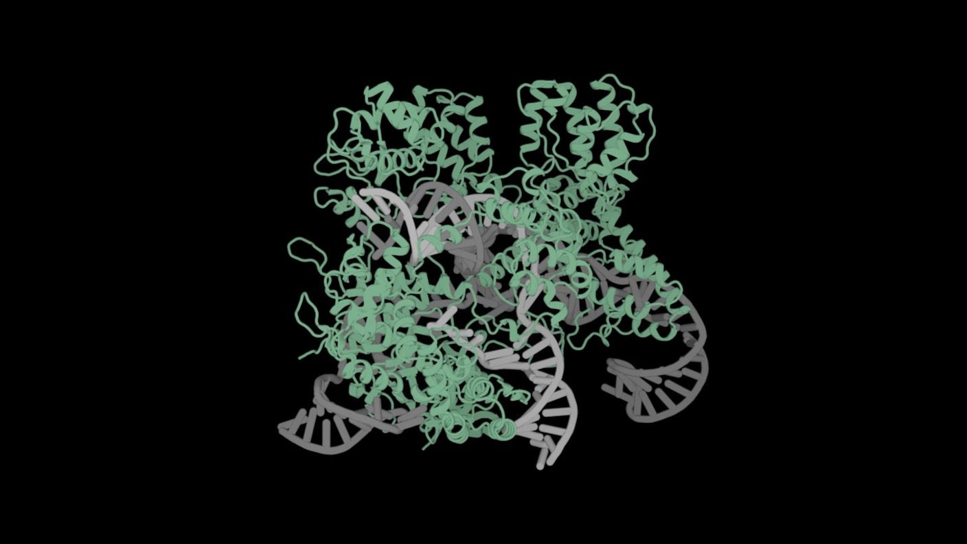 gene✱ai様 This AI Just Designed a More Precise CRISPR Gene Editor for Human