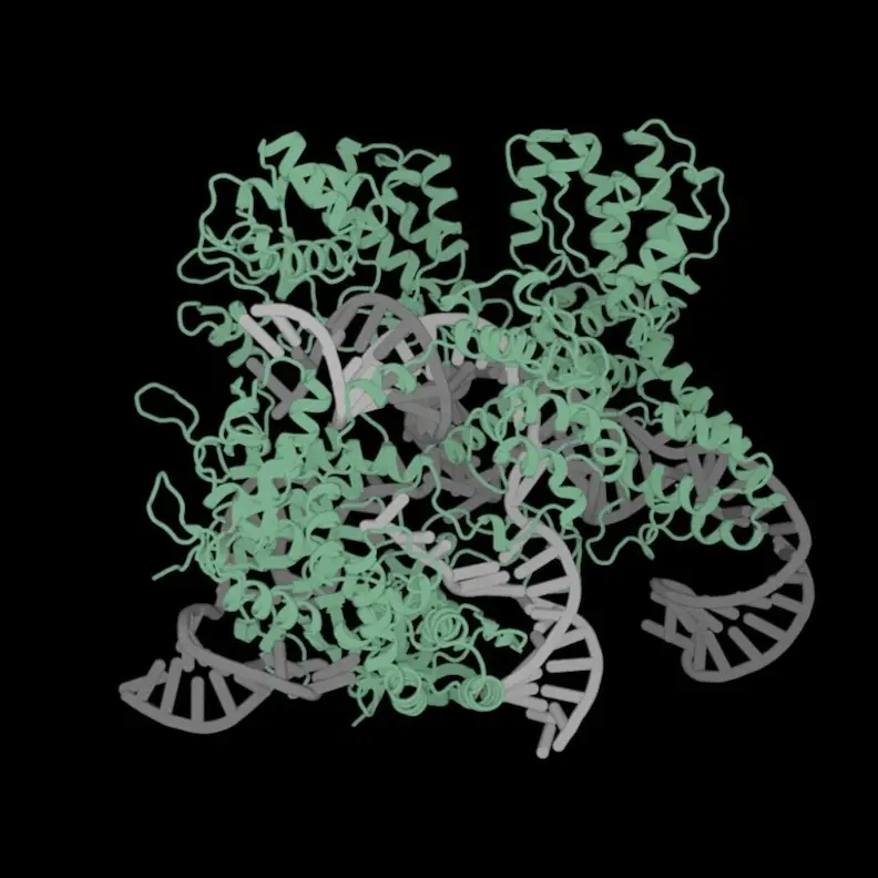 opencrispr1-ai-designed-crispr