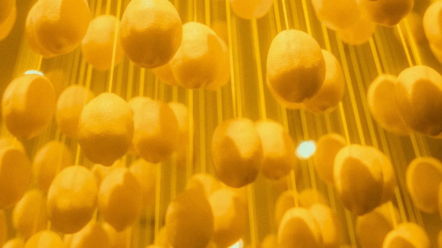 Our favorite science and tech stories from this week.