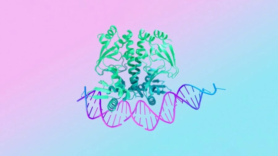 Google DeepMind's new AlphaFold AI model can model interactions between proteins, small molecules, DNA, and RNA.