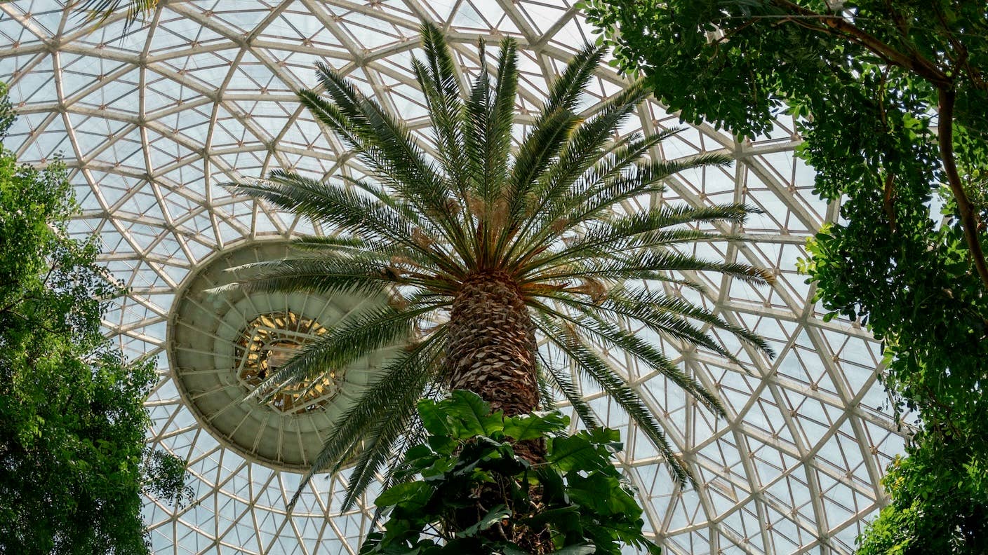 Our favorite science and tech stories from this week