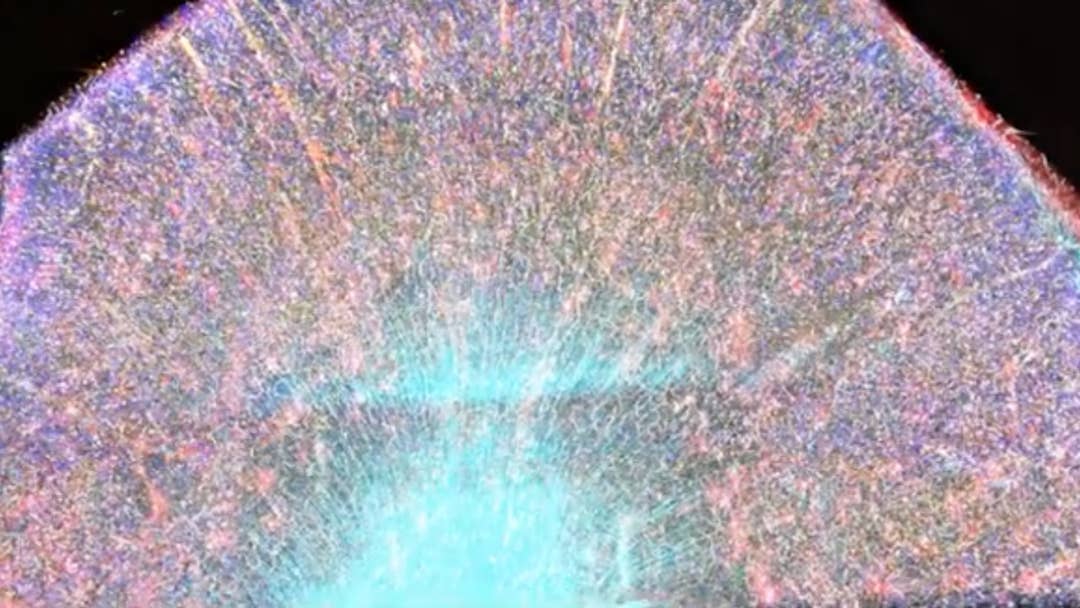 Brain Speed This MIT Device Maps the Human Brain With Unprecedented Resolution and ...