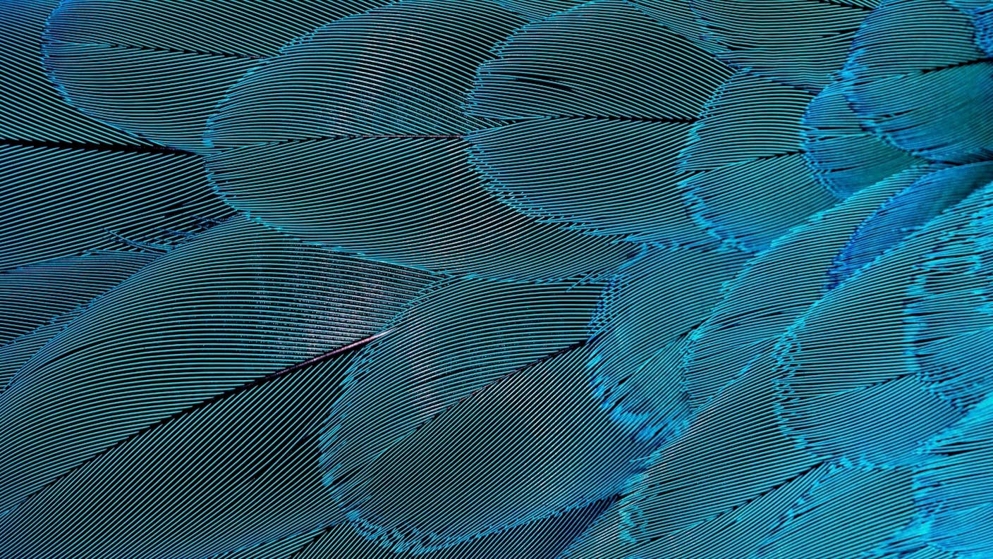 Our favorite science and tech stories from this week from around the web.