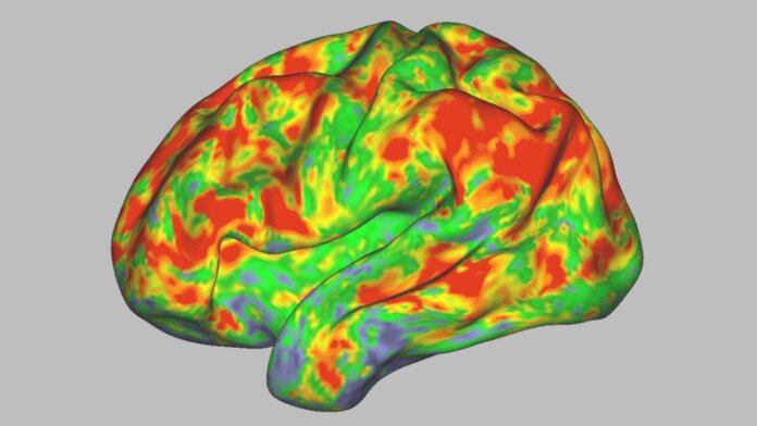 In a new study, scientists scanned the brains of 7 people over several weeks to see how psilocybin changed their brain activity.