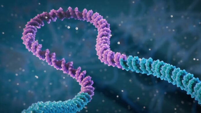 Scientists say new RNA bridge technique solves many of CRISPR gene editing's shortcomings.