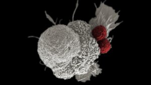 A New Gene Therapy Reprograms Cancer Cells to Fight Themselves