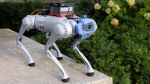 MIT’s New Robot Dog Learned to Walk and Climb in a Simulation Whipped Up by Generative AI