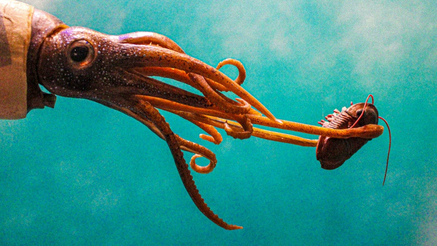 New squid-inspired pills could replace shots for medications like vaccines.