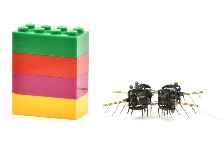 MIT’s Latest Bug Robot Is a Super Flyer. It Could One Day Help Bees Pollinate Crops.