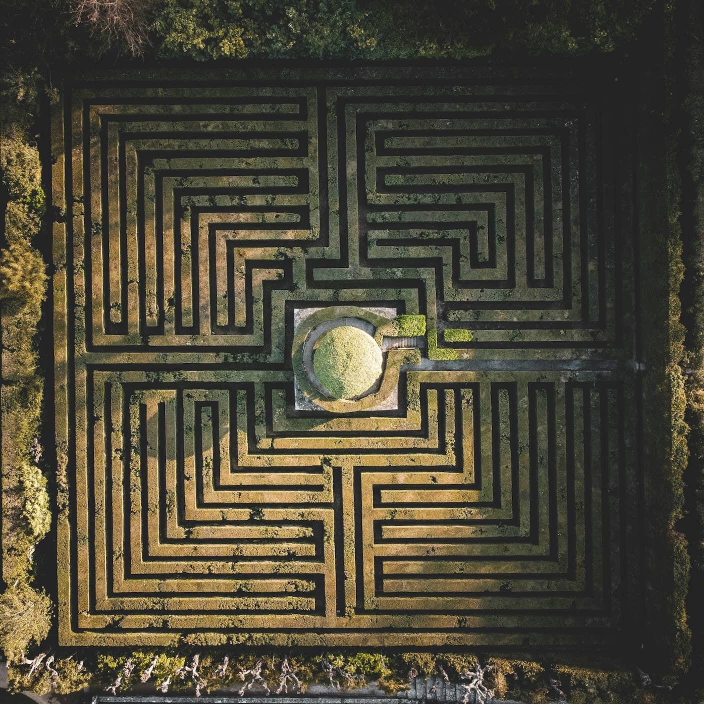 This Brain Discovery Could Unlock AI’s Ability to See the Future This Brain Discovery Could Unlock AI’s Ability to See the Future