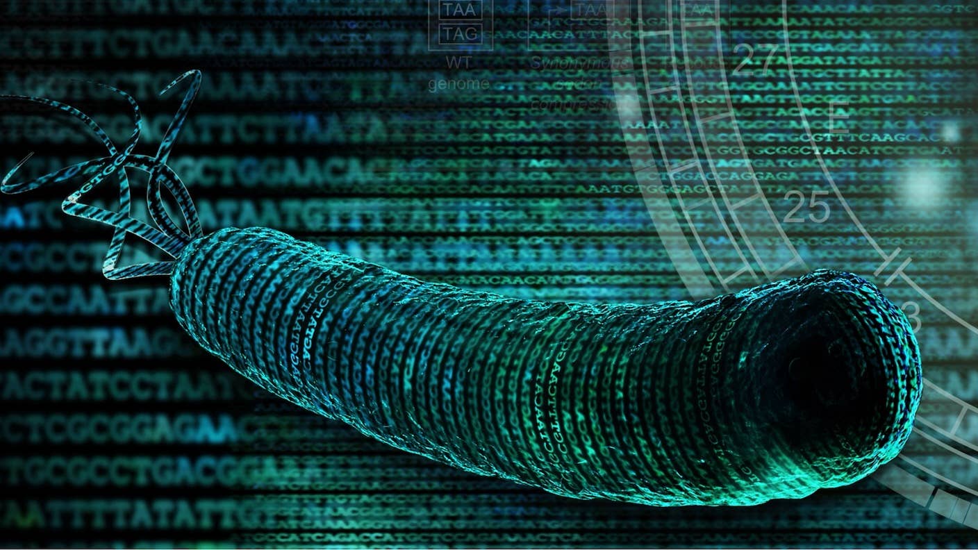 A synthetic bacteria with DNA letters