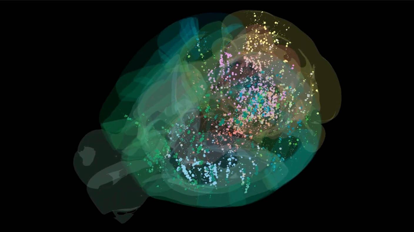 A neural activity map of the mouse brain as it makes decisions