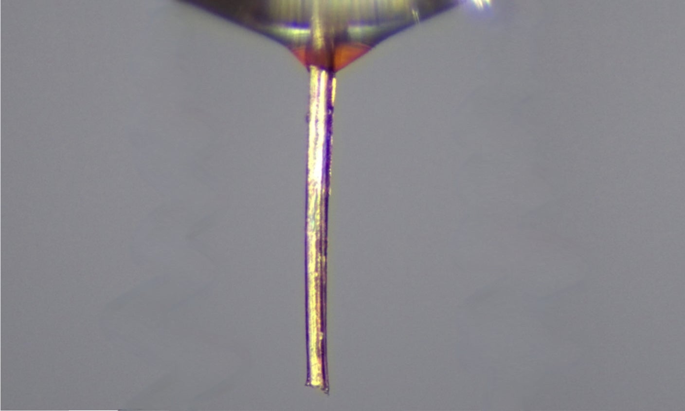 Super Precise 3D Printer Uses a Mosquitos Needle-Like Mouth as a Nozzle