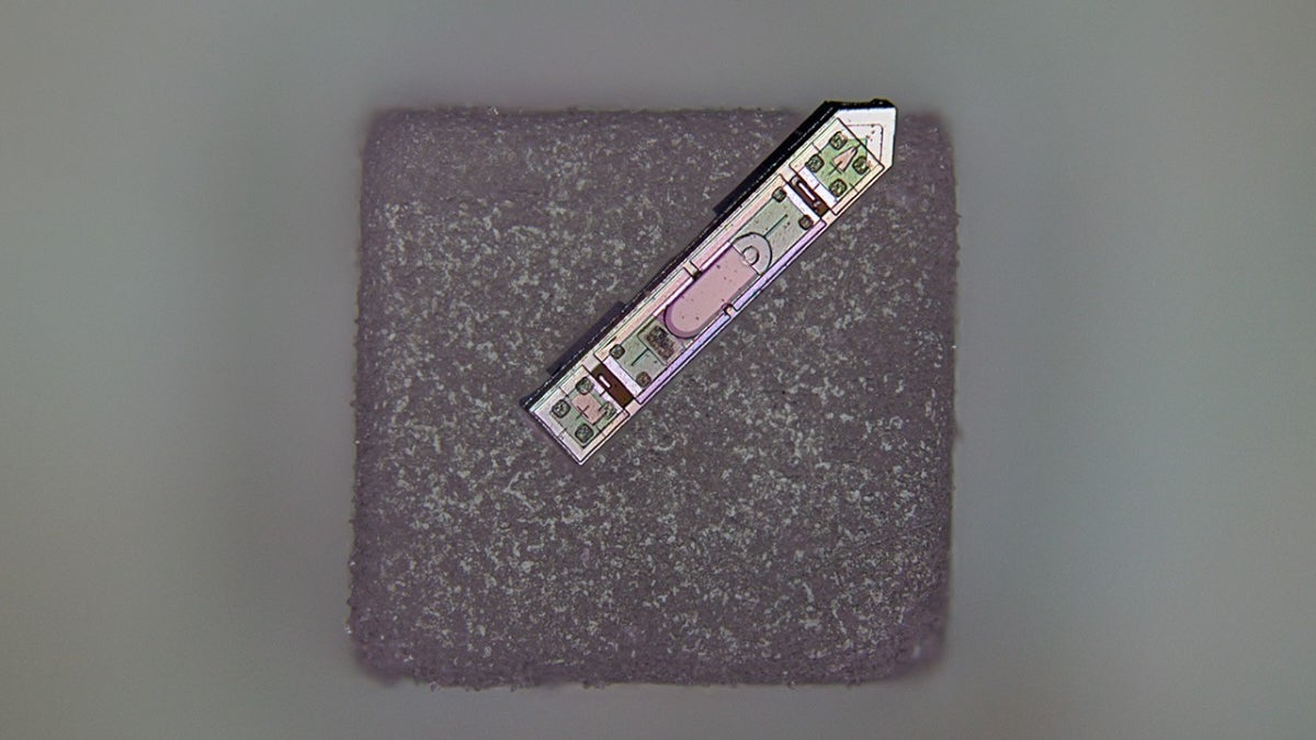 This Wireless Brain Implant Is Smaller Than a Grain of Salt