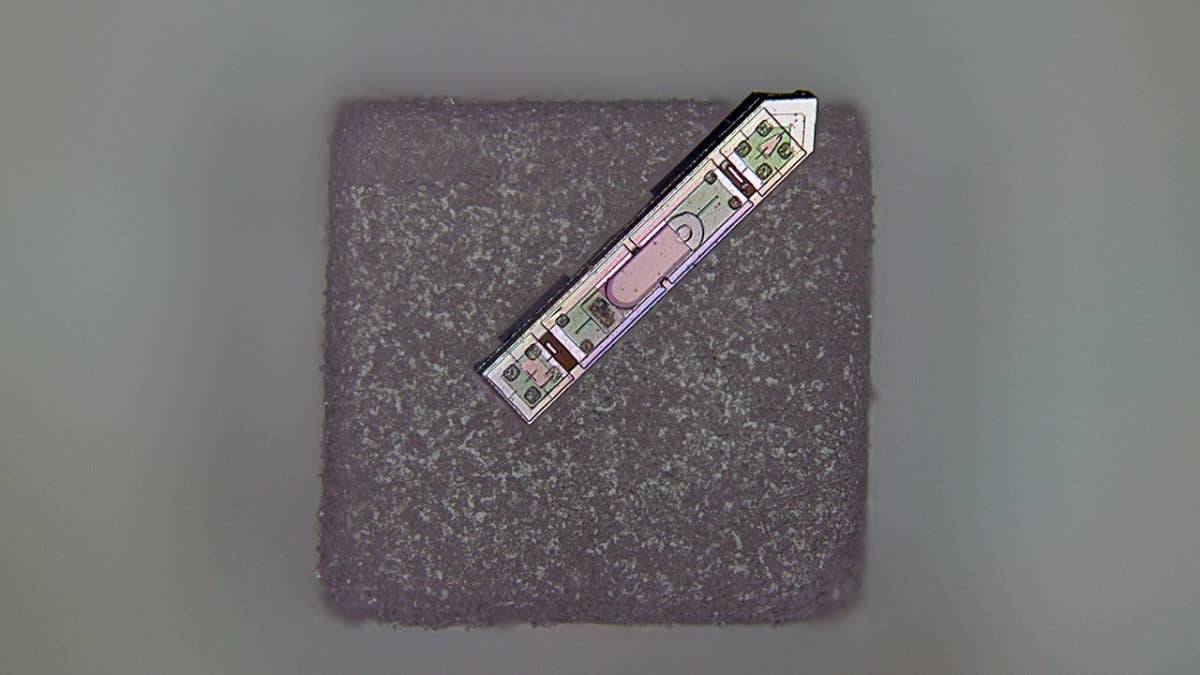 This Wireless Brain Implant Is Smaller Than a Grain of Salt This tiny brain implant powered by light lasted a year in mice with minimal scarring.