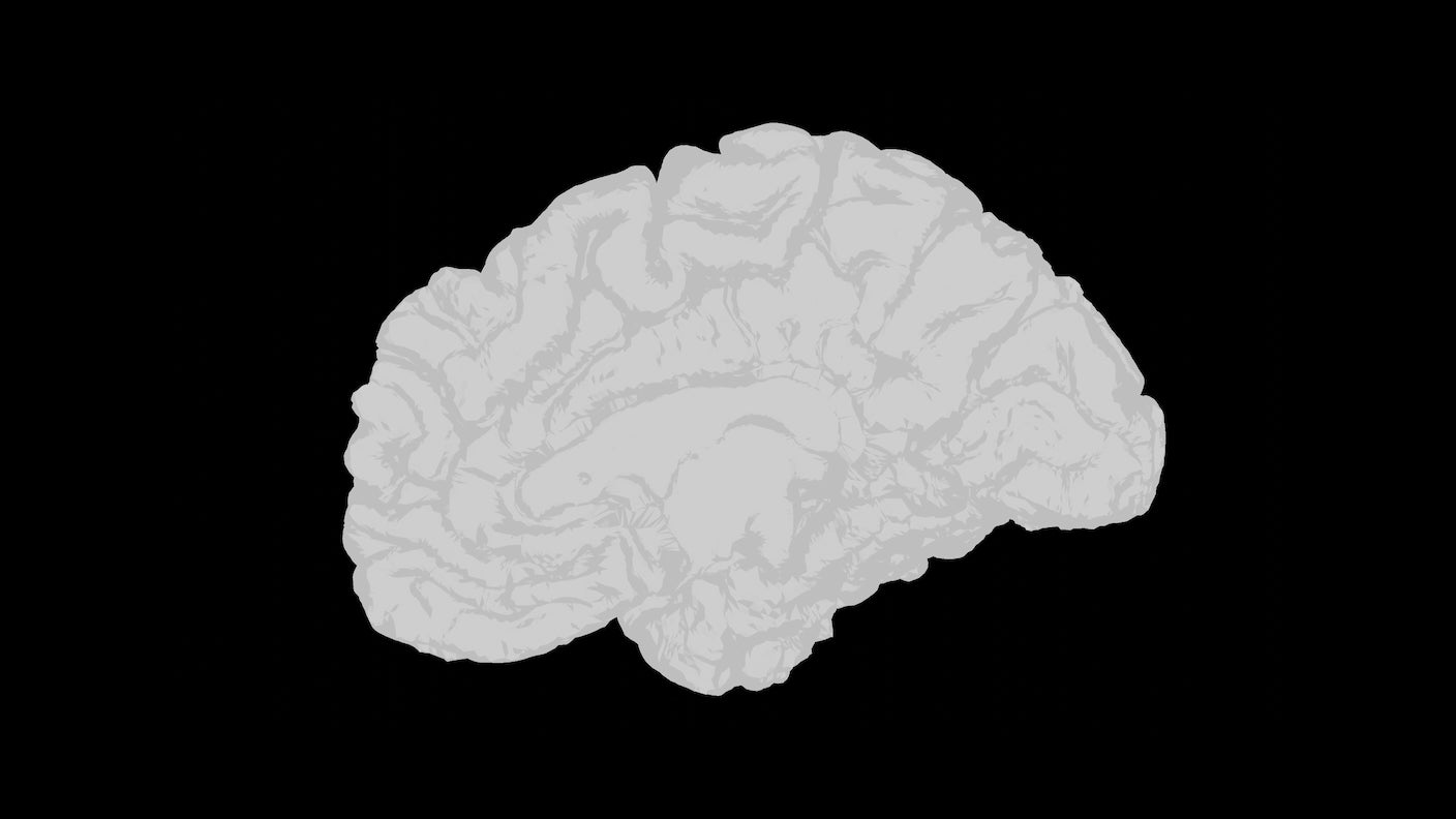 Scientists Map How the Brain Constructs Itself From Stem Cells to Early Adolescence